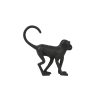 MONKEY–